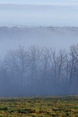 Naklejka na ściany i meble Foggy Landscape in Aveyron France