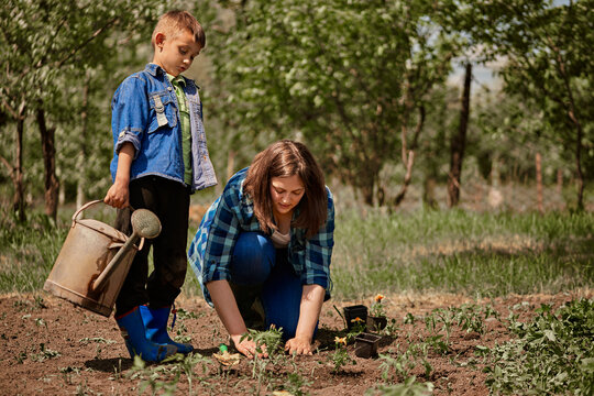 Son holding watering can while mother planting seedling in back yard