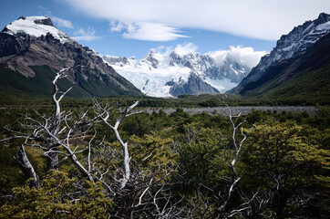Panoramic view from hiking trail to Magellanic subpolar forests,  Cerro Solo and Cerro Torre mountains in Los Glaciares National Park near El Chalten, Patagonia, Argentina. Lenticular clouds above top