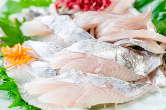 太刀魚の刺身 Images Browse 15 Stock Photos Vectors And Video Adobe Stock