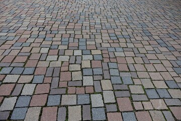 Paving of red, yellow and gray granite cobblestones and moss in the gaps, Hildesheim, Lower Saxony, Germany