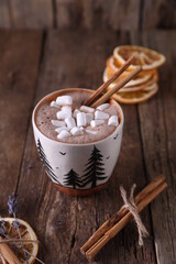 Cocoa with marshmallows, cinnamon and dried oranges