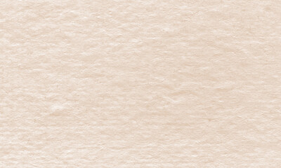 Fototapeta premium Natural recycled paper texture. Banner background
