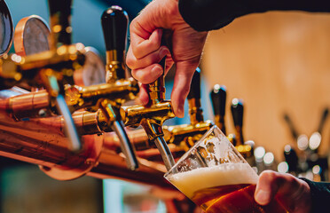 bartender hand at beer tap pouring a draught beer in glass serving in a bar or pub
