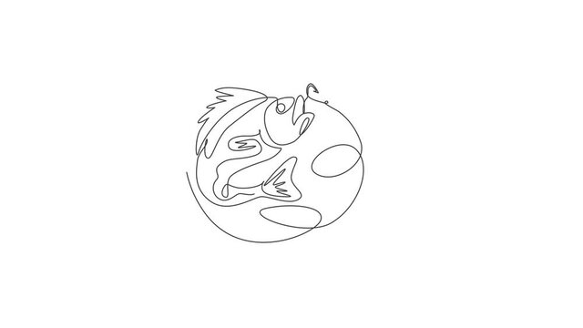 Animated self drawing of one continuous line draw logo symbol icon fishing competition and tournament. Fisherman leisure hobby vacation concept. Full length single line animation illustration.