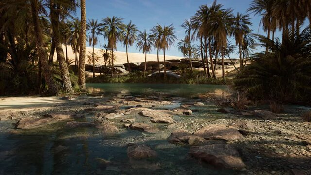 Idyllic oasis in the Sahara Desert