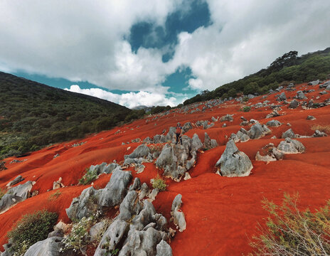 Dunas Rojas de Pacula - Zimapan - Hidalgo - Mexico