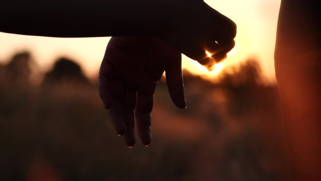 Happy family mother and daughter hands joining and holding together and enjoying sunset flare in meadow nature background, slow motion. Romantic moment mother and child girl. Concept of Happy Family.