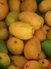 Naklejka na ściany i meble Yellow and green mangoes. Tropical fruits pattern