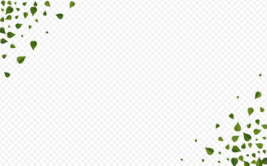 Forest Leaves Abstract Vector Transparent