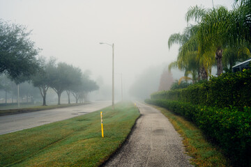 Fototapeta premium Big morning fog in a community 