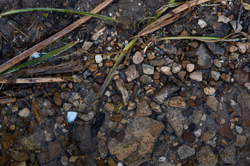 The coastline, with clear water and pebbles. Coastal separation of water and land. The line of separation of water and land.