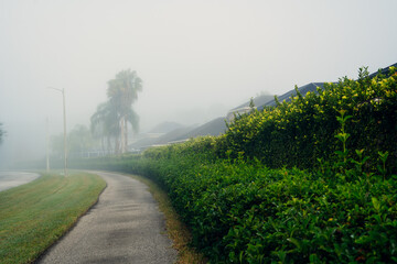 Big  morning fog in. a community	