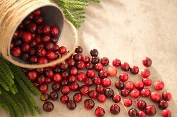 Cranberry culinary in wooden basket White natural background