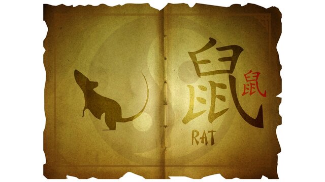 rat  zodiac sign on old paper scroll illustration concept