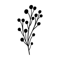 Ashberry branch vector illustration. Floral hand drawn rowan. Christmas linear element in modern style. Elegant ashberry twig silhouette isolated on white background. Rowan branch line art design.