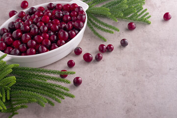 Cranberry smoothie recipe on kitchen table. White background