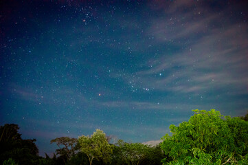 Noche bajo las estrellas