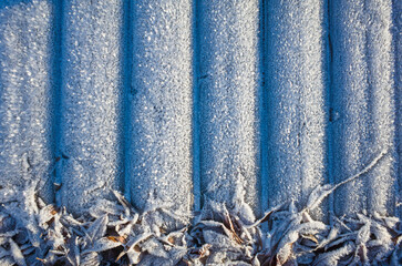 Frozen winter background, Striped surface and fallen leaves densely covered with thick frost snow...