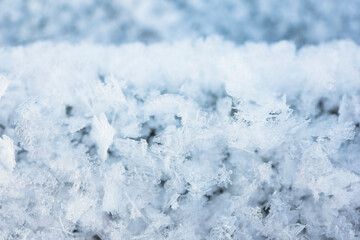 Cold winter background with many snowflakes hoar frost, Fresh snow background texture macro shot