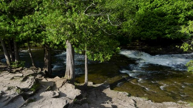 River water flowing, behind trees; Ocqueoc Falls River over rocks in Northwest Michigan after months of rain in late summer--late morning. 421