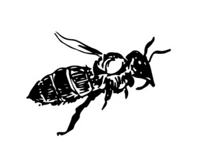 Vector bee in the style of minimalism. Black and white freehand graphics.Insect in profile, side view