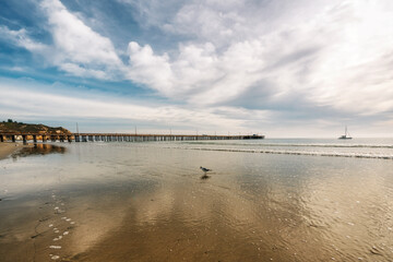 Wide sandy beach with beautiful sun reflections, birds, and cloudy sky on background