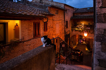 Narrow street of the village of Montemerano, Italy. Christmas decoration. Black and white cat  sitting on the parapet