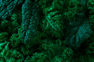 Food background, Fresh Kale leaves, close-up, vertical , no people, toned, selective focus,