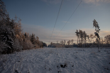 high voltage power line runs through forest, winter Christmas time beautiful landscape, snow covered ground and trees, clear blue sky with some clouds in sunset golden light