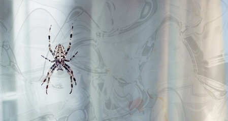 Halloween concept background, spider on web on abstract background