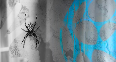 Halloween concept background, spider on web on abstract background