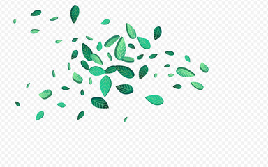 Grassy Foliage Realistic Vector Transparent