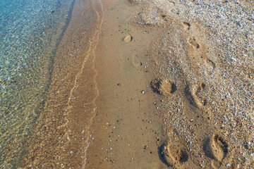 Beautiful view of footprints on sand along water on sunny summer day. Greece. 