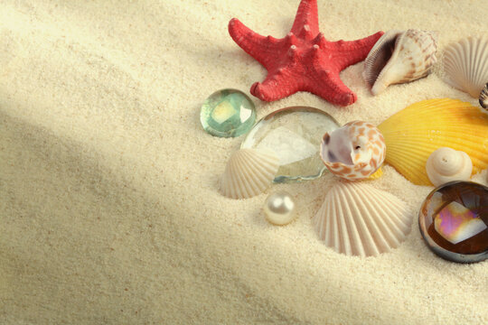 Starfish and shell on sand with copy space. Light and shadows nature horizontal background. Beige vintage color tone.