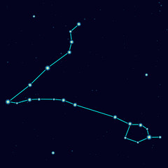 Obraz na płótnie Canvas Vector starry sky with constellation pisces 