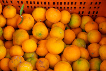 Mandarinas (cítrico) en una caja naranja en un mercado