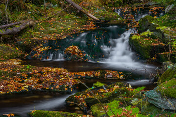 Fototapeta na wymiar Sumny creek in autumn morning in Jeseniky mountains