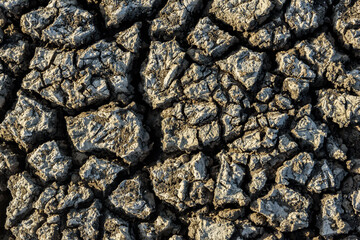 Dry and cracked ground caused by drought in Paraiba, Brazil. Climate change and water crisis.