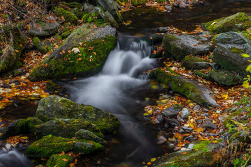 Naklejka na ściany i meble Sumny creek in autumn morning in Jeseniky mountains