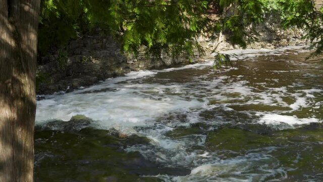 River water flowing, between forest treeline; Ocqueoc Falls River over rocks in Northwest Michigan in late summer--late morning. 425