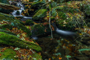 Sumny creek in autumn morning in Jeseniky mountains