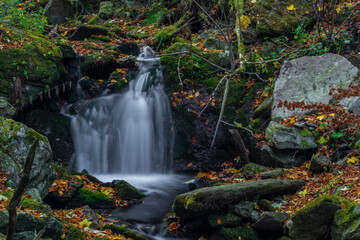 Obraz premium Sumny creek in autumn morning in Jeseniky mountains