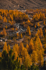 Morteratsch Glacier, Switzerland