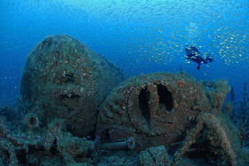 Scuba diver swims over shipwreck USS Schurz, North Carolina, USA