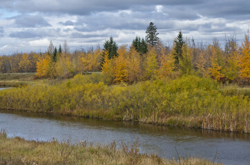 Pylypow Wetlands on a Cloudy Autumn Day