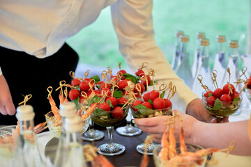 Buffet table with snacks, canape, sandwiches and appetizers at luxury wedding reception outdoors, copy space. Serving food. Catering banquet table