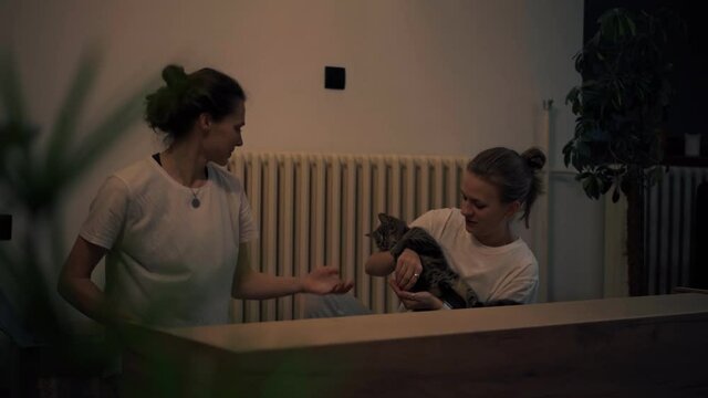 Handheld cinematic shot of young lesbian couple assembling furniture in their new home and playing with a cat.
