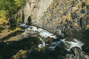 Atmospheric mountain landscape with turbulent mountain river among rocks near rocky wall in autumn time in sunshine. Beautiful alpine scenery with powerful mountain river and autumn forest in sunlight