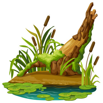 Wooden log in moss in marsh. Cartoon tree in swamp jungle. Broken oak, salvinia, water lily. Isolated vector element on white background.